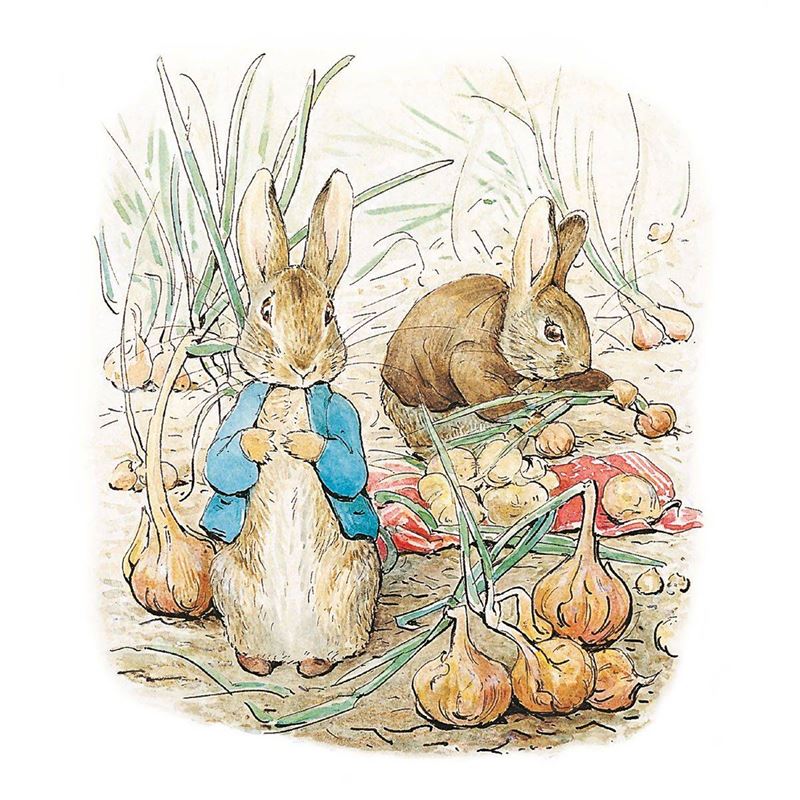 Petter Rabbit and Benjamin Bunny Card