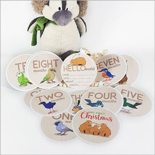 Baby Milestone Discs NZ Birds