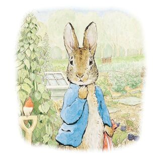 Peter Rabbit Card