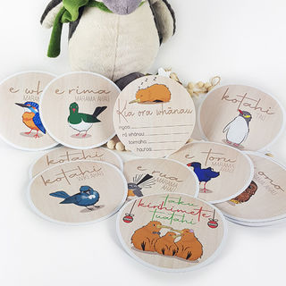 Te Reo Baby Milestone Discs